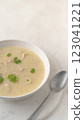 Close-up of Georgian traditional chicken soup Chikhirtma in the white plate  123041221