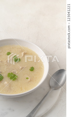 Close-up of Georgian traditional chicken soup Chikhirtma in the white plate Close-up of Georgian traditional chicken soup Chikhirtma in the white plate 123041221