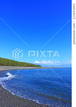 靜岡縣靜岡市三保松原和富士山的風景 靜岡縣靜岡市三保松原和富士山的風景 123041601