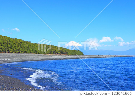 Scenery of Miho no Matsubara and Mt. Fuji, Shizuoka City, Shizuoka Prefecture Scenery of Miho no Matsubara and Mt. Fuji, Shizuoka City, Shizuoka Prefecture 123041605
