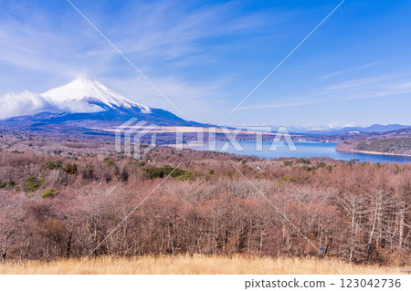 [山梨縣] 從新裝修的明神山觀景台遠眺富士山 123042736