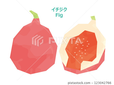 Fig illustration watercolor style 123042766