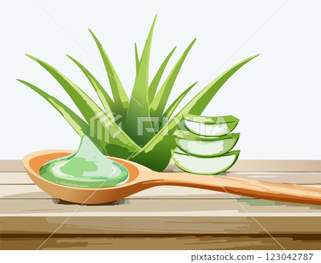 Aloe gel on wooden spoon with aloe sliced on wooden table Aloe gel on wooden spoon with aloe sliced on wooden table 123042787