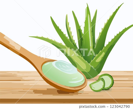 Aloe gel on wooden spoon with aloe sliced on wooden table Aloe gel on wooden spoon with aloe sliced on wooden table 123042790
