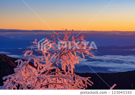 The horizon seen from Tsubamesanso [Nagano Prefecture] 123043193