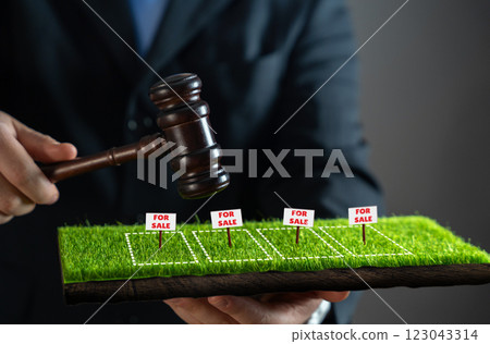 A businessman with a hammer holds an auction to sell land plots. Land litigation. Property investment. Competitive bidding. Property valuation. Commercial land deals 123043314