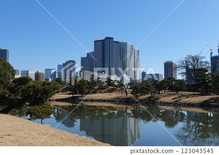 濱離宮恩賜庭園和東京的摩天大樓 123043545
