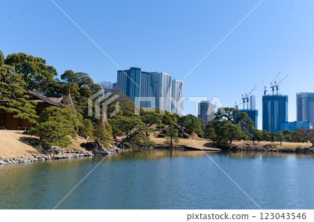 濱離宮恩賜庭園和東京的摩天大樓 濱離宮恩賜庭園和東京的摩天大樓 123043546