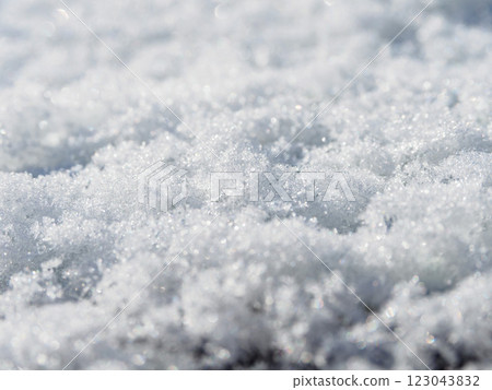 雪的半微距照片 123043832