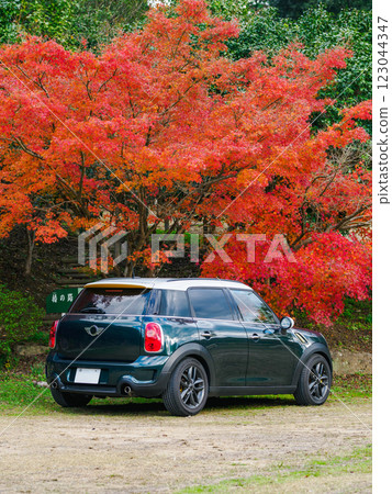 Autumn leaves and cars 123044347