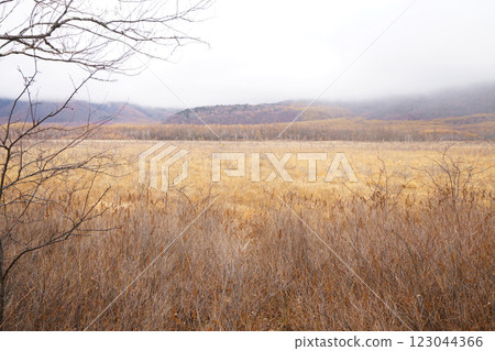 Senjganagahara (Nikko city, Tochigi prefecture) 123044366