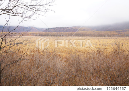 Senjganagahara (Nikko city, Tochigi prefecture) 123044367