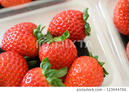 Fresh strawberries 123044788
