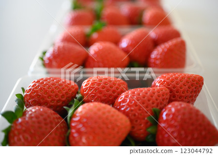 Seasonal strawberry 123044792