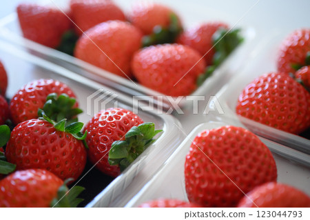 Fresh strawberries Fresh strawberries 123044793
