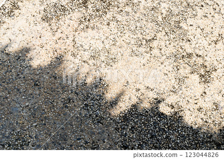 Shadow cast on textured pavement creates a unique pattern with palm elements in Thailand. Shadow cast on textured pavement creates a unique pattern with palm elements in Thailand. 123044826