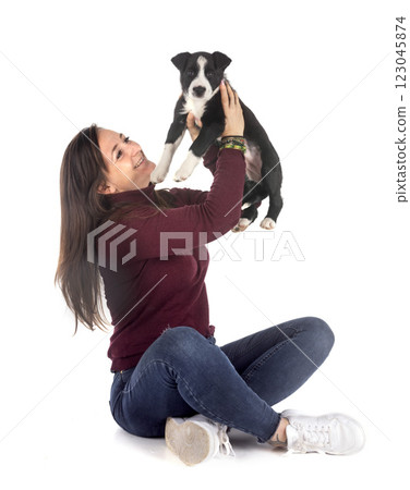 puppy border collie and woman in studio 123045874