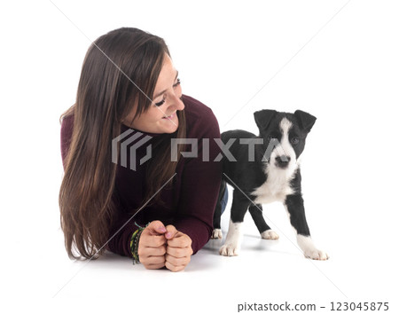 puppy border collie and woman in studio 123045875