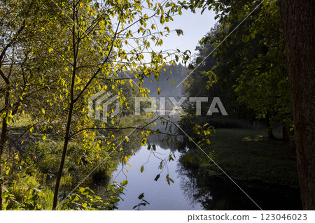 mixed forest and river in sunny weather in early August 123046023