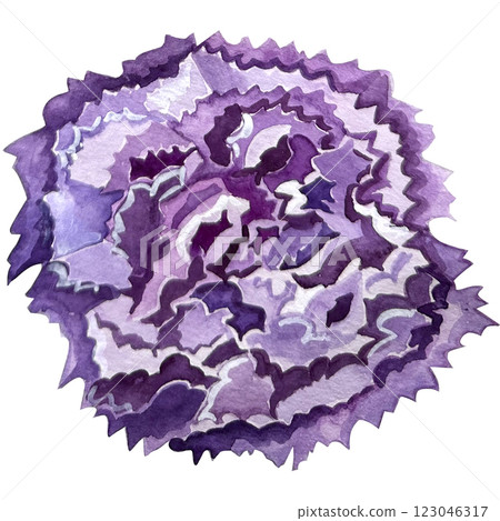 Handpainted watercolor carnation flower illustration. It's perfect for greeting cards, wedding invitation, birthday and mothers day cards. Watercolor botanical illustration. 123046317