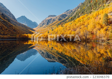 Mountain lake and yellow autumnal trees. Mountain lake and yellow autumnal trees. 123046370