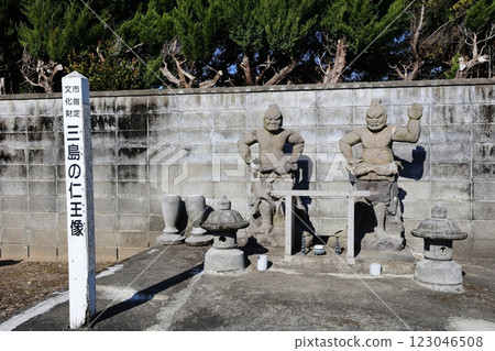The Nio Statues of Mishima 123046508