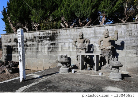 The Nio Statues of Mishima 123046655