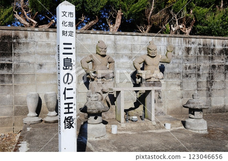 The Nio Statues of Mishima The Nio Statues of Mishima 123046656