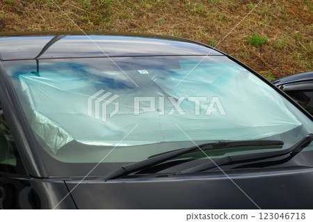 Automobile parts: Car umbrella-type sunshade 123046718