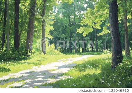 Serene Summer Path Through Lush Green Forest With Sunlight Filtering Through Trees 123046810