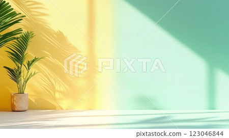 Sunlit minimal interior with plant shadows 123046844