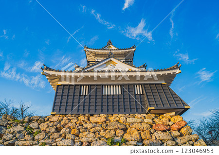 濱松市（靜岡縣）濱松城及其天守閣的夜景 123046953