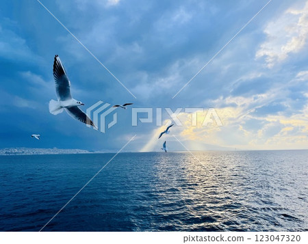 Seagulls flying over the Turkish Gulf in Izmir city Seagulls flying over the Turkish Gulf in Izmir city 123047320