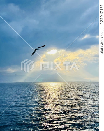 Seagulls flying over the Turkish Gulf in Izmir city 123047325