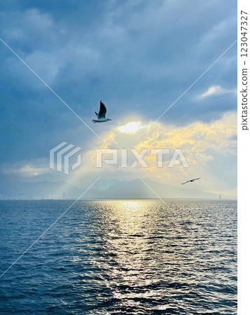 Seagulls flying over the Turkish Gulf in Izmir city Seagulls flying over the Turkish Gulf in Izmir city 123047327