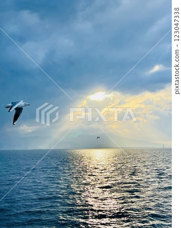 Seagulls flying over the Turkish Gulf in Izmir city Seagulls flying over the Turkish Gulf in Izmir city 123047338