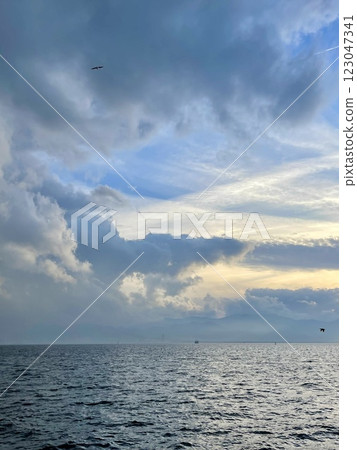 Seagulls flying over the Turkish Gulf in Izmir city 123047341