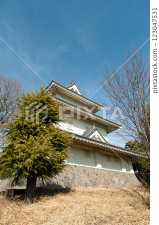 Kinishi castle 123047531