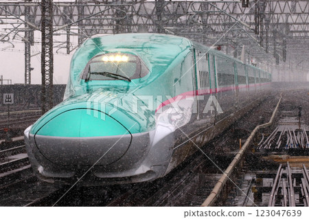 Tohoku-Hokkaido Shinkansen E5 series (single train) arriving at Omiya Station in falling snow 123047639