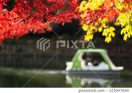 Autumn leaves and pedal boats Autumn leaves and pedal boats 123047699