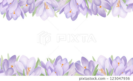Purple crocuses seamless border. Hand drawn horizontal frame with violet spring flowers and leaves. Watercolor background for greeting card design and wedding invitations. 123047936