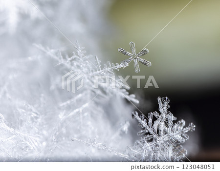 natural snowflakes on snow, winter natural snowflakes on snow, winter 123048051