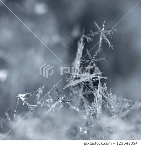 natural snowflakes on snow, winter natural snowflakes on snow, winter 123048054