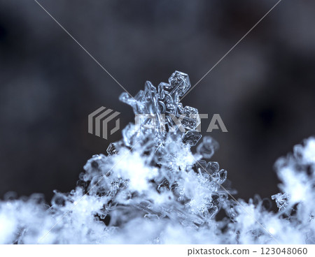 natural snowflakes on snow, winter natural snowflakes on snow, winter 123048060