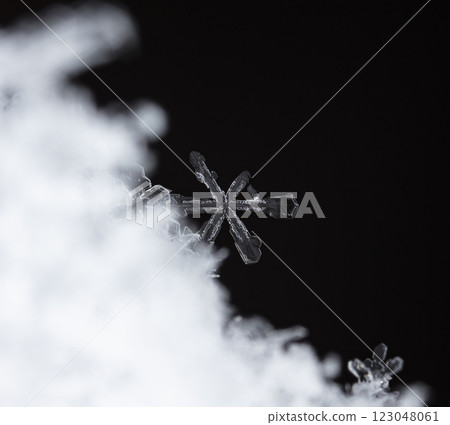 natural snowflakes on snow, winter natural snowflakes on snow, winter 123048061