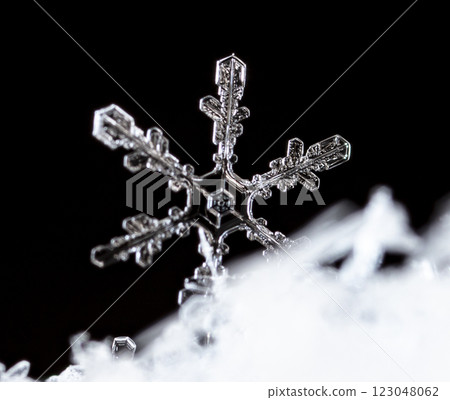 natural snowflakes on snow, winter 123048062