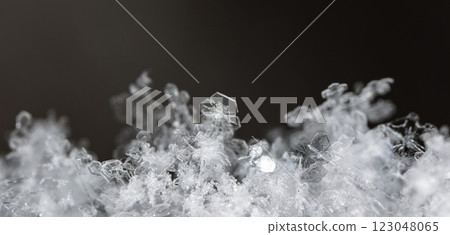 natural snowflakes on snow, winter 123048065