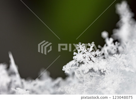 natural snowflakes on snow, winter 123048075