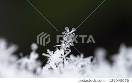 natural snowflakes on snow, winter natural snowflakes on snow, winter 123048076