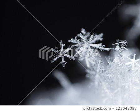 natural snowflakes on snow, winter natural snowflakes on snow, winter 123048085